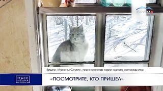 «ПОСМОТРИТЕ, КТО ПРИШЕЛ» _ Новости Камчатки _ Масс Медиа.