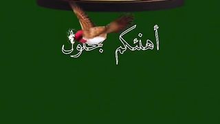 تهنئة