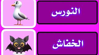 #إختبر معلوماتك #اسئلة دينية #ثقافة عامة #للأذكياء فقط #القاب #عواصم #الغاز #خمن