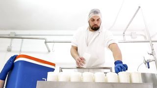 Crafting Artisanal Delights: A Day in the Life of Cheese Production at a Dairy Farm
