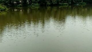 You can_watch this beauty all day_long