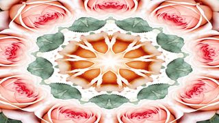Animated Background Video ????️ HD 1080p SP24ABV51