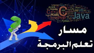مسار تعلم البرمجة و انواع المجالات للمبتدئين | مستر كود_Mr Code