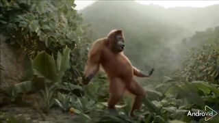 Happy Ape