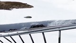 The driver of the truck accidentally took the bump with him