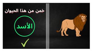 خمن من هذا الحيوان