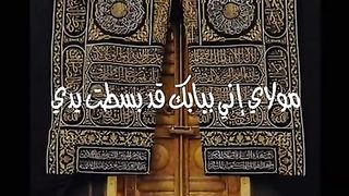 الشيخ النقشبندى