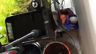 Clean my aquarium