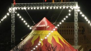 В цирке. Выступает дрессировщик
