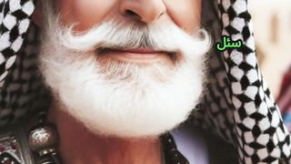 اقوى الردود الفحمة