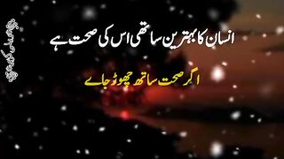 Insan ki Behtareen Saath
