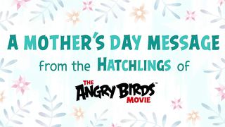 The_Angry_Birds_Movie