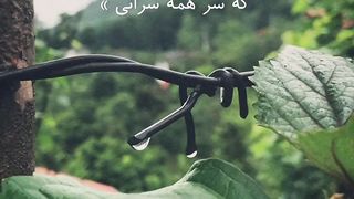 A special Iranian feeling