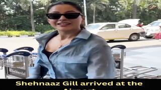 Shehnaaz Gill arrived at the Airport #shehnaazgill #short #shorts #trending #viral #bollywood #viralshorts
