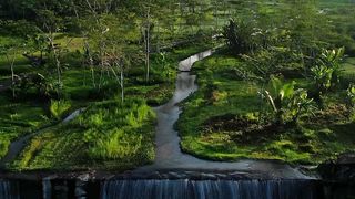 Magical of village