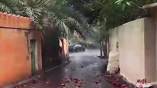 تلاوات القران