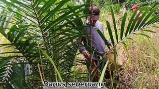 Petani panen padi