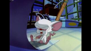 Animaniacs ｜ Best of Pinky and the Brain ???????? ｜ Classic Cartoon Compilation ｜ WB Kids