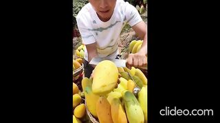 USA funny video