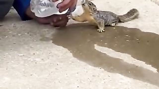 Good hearted person gives water to the squirrel