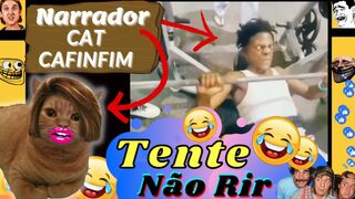 Tente Não Rir - Meme Narrador Cat Cafinfim