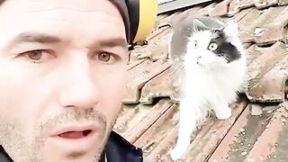 Funny cat