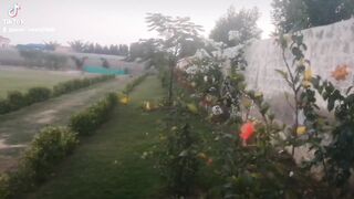 Farm House