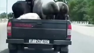 Mazedar movies scene