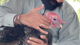 This is my Turkey ???? Suzuu