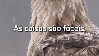 Tenha esses objetivos e tudo mudara.