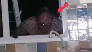 sightings of demons or ghosts