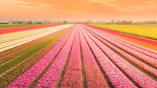 Beautiful view of nature