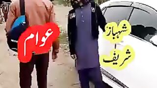 Imran Khan Shahbaz Shareef Awam