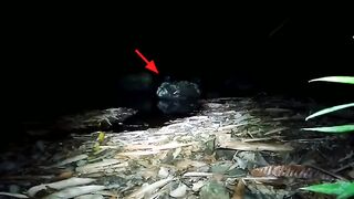 HANTU BANYU