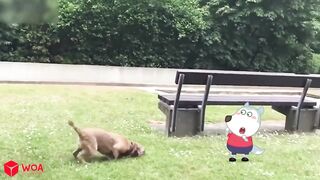 Cute Puppy vs Tiny Wolfoo