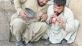 Wonderful ❣️❤️ snake funny