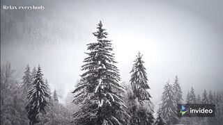 Relaxing Music | Feature Duster | Music And Nature | Deep Sleeping Music | Relaxing Music | Stress Relief Meditation Music | Relax Everybody