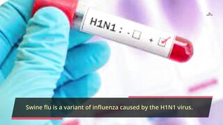 Whate is Swane Flu