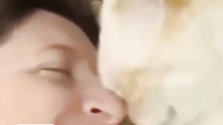 Cute __cate __ by_ cats_short