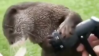 Nice video