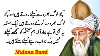 Agr Tumhare Naak Ke Andar Wale Baal Bahir Ana Shoro Hu Jaya To Samaj Jaya | Maulana Rumi Quotes