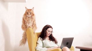 cat videos funny