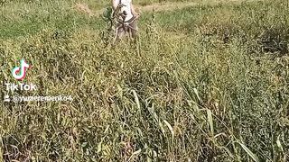 Пакос