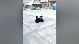 tiktok funny video ...tiktik tiktik