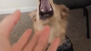 #funny