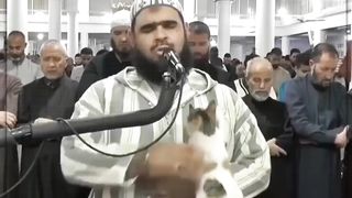 مقطع رائع لقطة تعتلي كتف الشيخ وهو يصلي