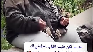 القلوب الرحيمة