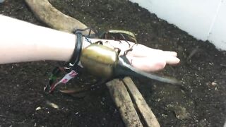 Terrifying things