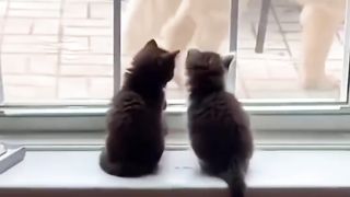 Realy best friend.. So ????