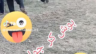 Funny video .